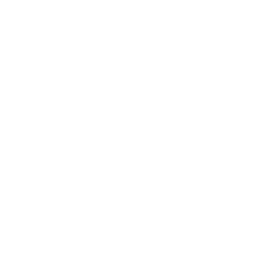 government